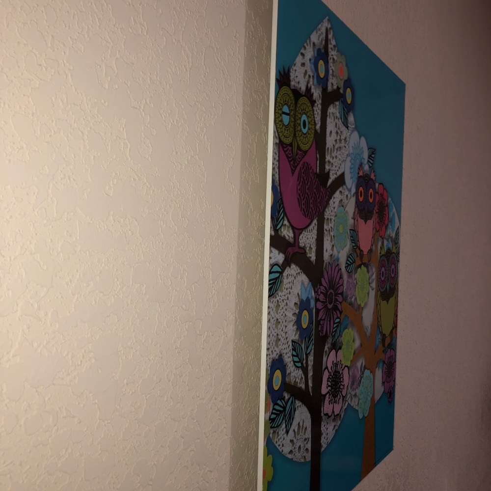 Owl decorative canvas